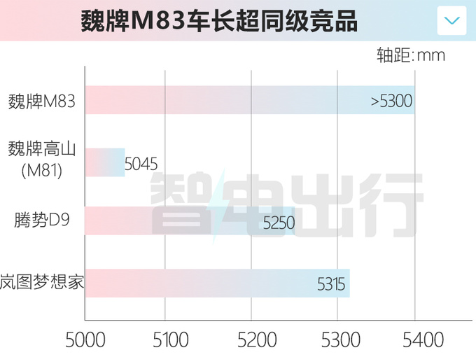 魏牌全新MPV曝光尺寸超高山 11月上市 售40万内-图2