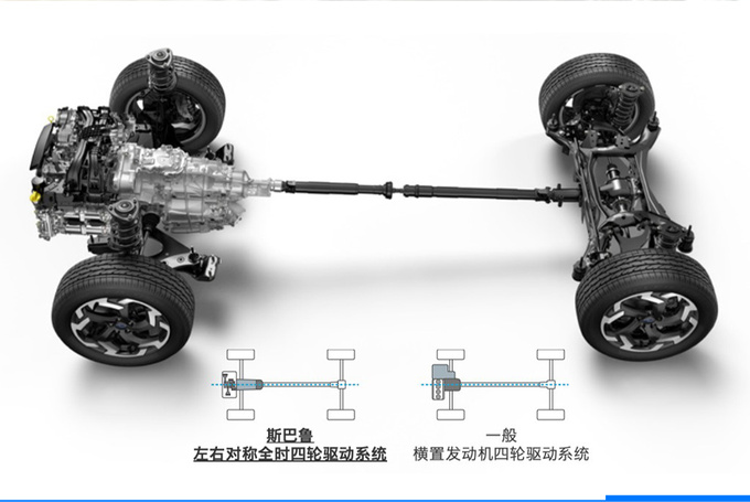 表里如一的<a href=https://www.qzqcw.com/z/sibalu/senlinren/ target=_blank class=infotextkey>森林人</a>给你打直球般的爱-图17