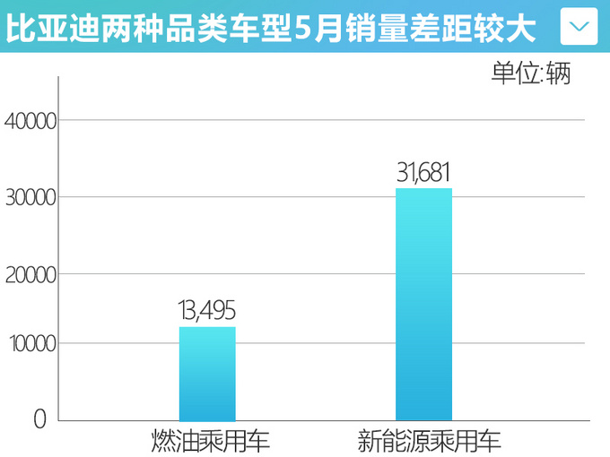 <a href=https://www.qzqcw.com/z/biyadi/ target=_blank class=infotextkey>比亚迪</a>加速推进插混技术将全面替代燃油车-图4