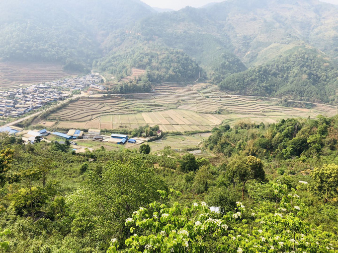 茶山道路崎岖泥泞，云南茶农为何选择长安凯程