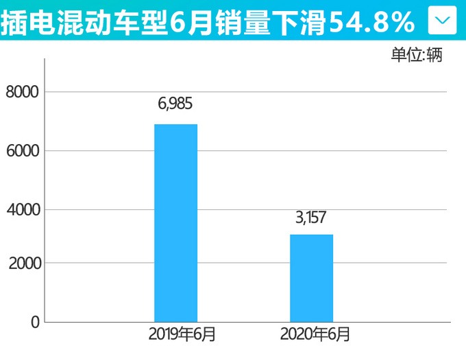 <a href=https://www.qzqcw.com/z/biyadi/ target=_blank class=infotextkey>比亚迪</a>新能源车6月销量腰斩 累计暴跌59.2-图11