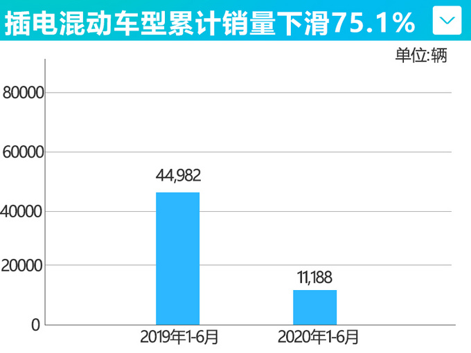 <a href=https://www.qzqcw.com/z/biyadi/ target=_blank class=infotextkey>比亚迪</a>新能源车6月销量腰斩 累计暴跌59.2-图3