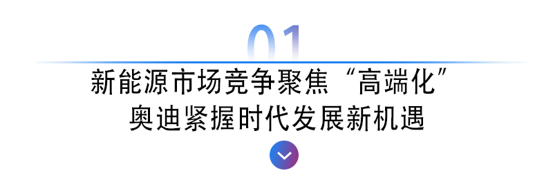 和<a href=https://www.qzqcw.com/z/aodi/ target=_blank class=infotextkey>奥迪</a>中国总裁豪哥聊完电动车规划后我又开始担心造车新势力们的未来了-图4