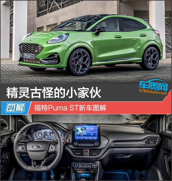 精灵古怪的小家伙 福特Puma ST新车图解