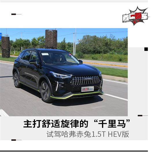 综合油耗仅4.6L 试驾哈弗赤兔1.5T HEV版