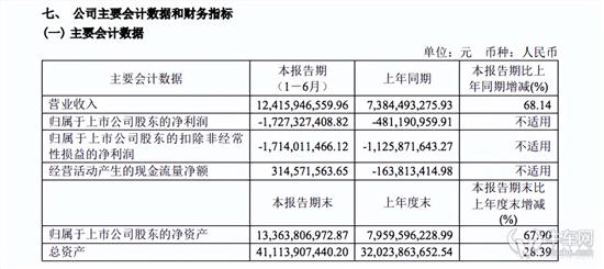 赛力斯半年报解析：营收猛增亏损扩大